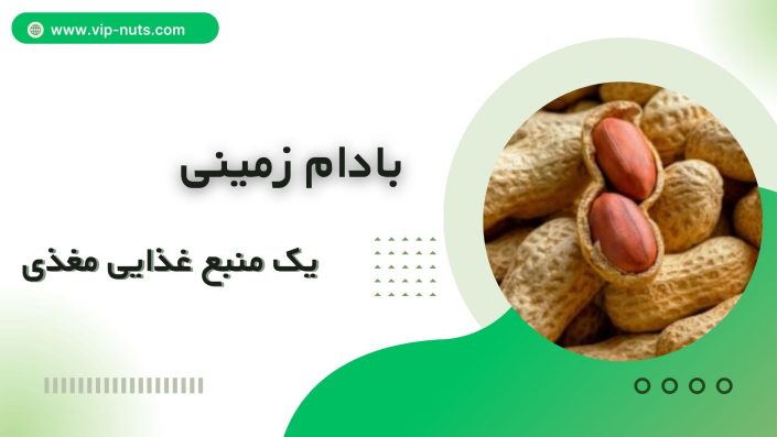 بادام زمینی